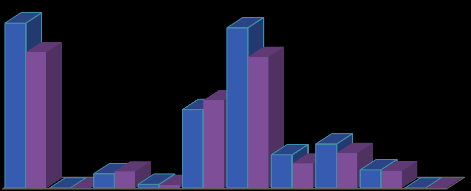 2012 YILI BAKIRKÖY BELEDİYESİ BÜTÇENİN FONKSİYONEL DÜZEYDE BÜTÇE GİDER GERÇEKLEŞMELERİ AÇIKLAMA 2012 YILI BÜTÇEYLE VERİLEN ÖDENEK 2012 YILI SONUNDA GERÇEKLEŞEN BÜTÇE GİDERİ 1.Genel kamu hizmetleri 67.