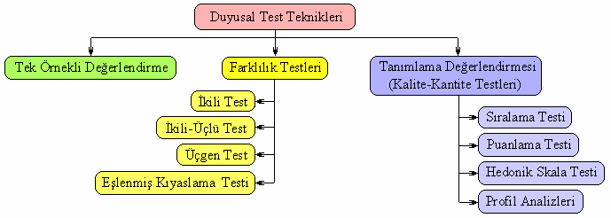 Duyusal değerlendirmede analiz amacı ve analiz edilen örneğe bağlı olarak değişik test teknikleri uygulanır.