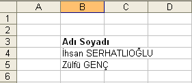 hücrenin adresini (B2 gibi) gösterirken, sağ taraf ise hücre içersine veri girmek veya hücre içeriğini görmek için kullanılır (şekil 5). Şekil 5. Formül çubuğu 1.