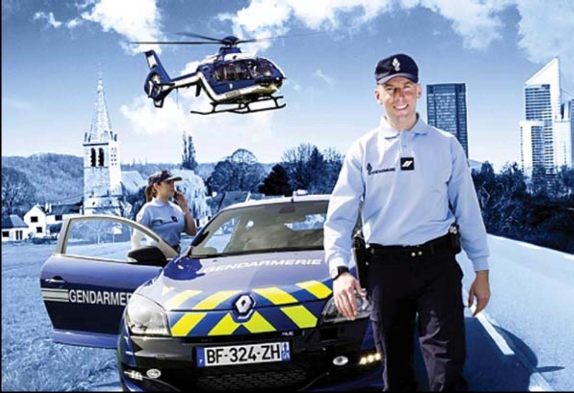 STIG, Fransız Ulusal Jandarma bilgi işlem merkezi, 170 üyesi, Bilişimde uzman olan özellikle polis memurlardan oluşuyor.