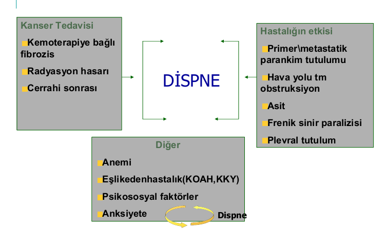 20. UKK, 19-23