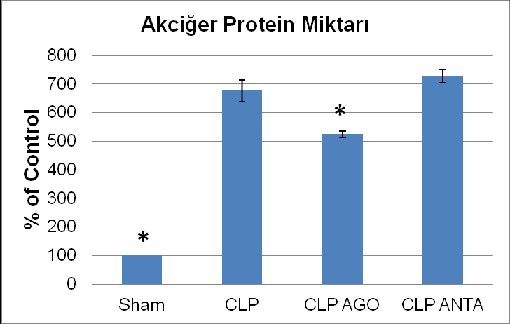 Şekil 7. Deney gruplarında akciğer SOD değerleri (*CLP grubuna göre p<0,05 oranında anlamlı). Moleküler bulgular Yürütme sonrasında Sham grubunda 5-HT 7 reseptör varlığı belirlendi.