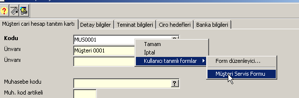 1 KULLANICI TANIMLI VERİ TABANI FORMLARI Series 9000 SQL programlarında kullanıcıların veritabanına tablolar ve View lar ilave etmeleri mümkündür.