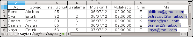 Resim 52: Nesne eklemek Nesne türünü belirlediğinizde ilgili uygulama Draw içerisinde veri girişiniz için boş bir çerçeve ile açılır.