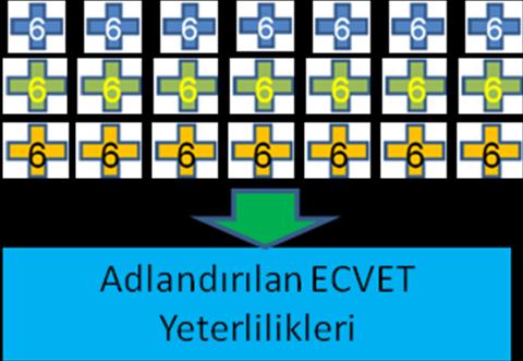 Bu 6 ECVET kredisi, bireysel olarak, kişinin eğitim başarısı içinde kullanılabilir ya da diğer aynı ya da benzer mesleki ECVET ölçütlerine eklenerek, ECVET yeterlilikleri adı ile bir