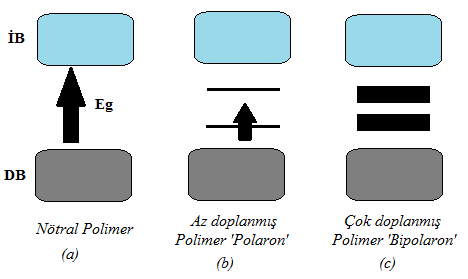 Özetle; radikal katyonlar (pozitif polaron) ise yükseltgenme ile oluşur. Daha ileri yükseltgenme ile bipolaron (pozitif bisoliton) oluşumu gerçekleşir.