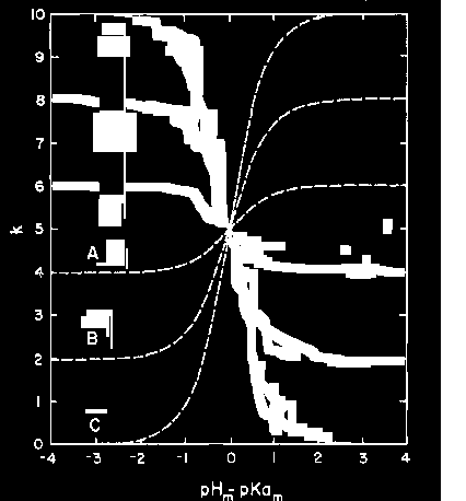 16 Şekil 2.6. Zayıf asidik bileşiklerde k-ph arasındaki ilişki Zayıf monoprotik bir bazın hareketli fazda iyonlaşma dengesi için verilen eşitlik elde edilir. BH B H (2.