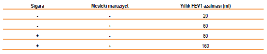 sıklıkla yapılmasını sağlamak akma ve sızıntı gibi tehlikelerin önlenmesi açısından büyük önem taşımaktadır. Solunum maskeleri, eldivenler, koruyucu gözlük ve iş kıyafetinden oluşan KKD ler.