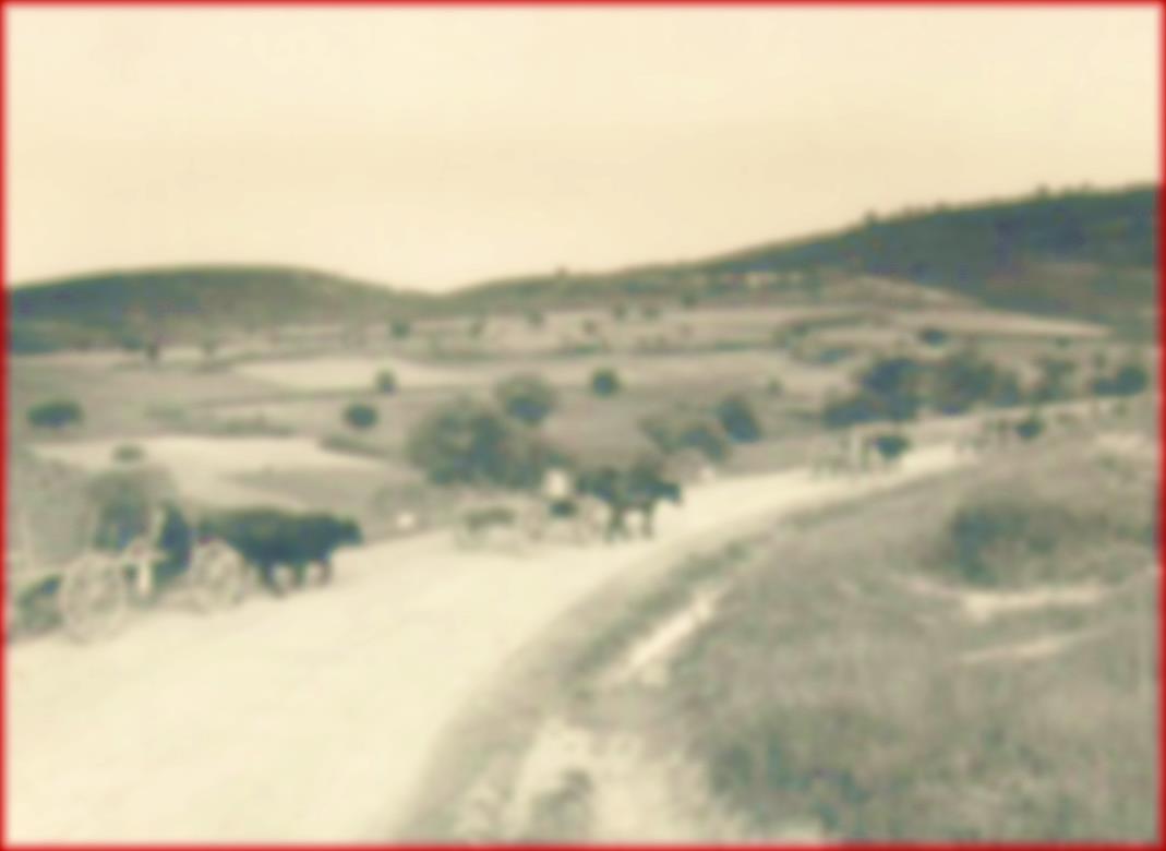 1924: 33 km yeni yol yapımı 233 km yol