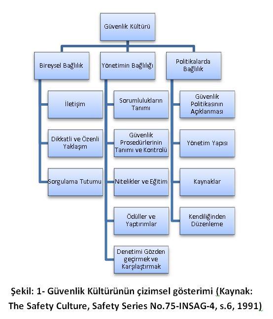 öncelikli olması Etkin güvenlik gözetimi ve denetimi İnsancıl ve katılımcı yönetim biçimi Güvenlik ölçümlerinin durumu Etkin ve yeterli kurallar ve prosedürler Düşük seviyede risk alma davranışı