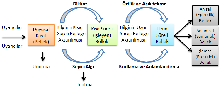 8 Bilgiyi İşleme Kuramında