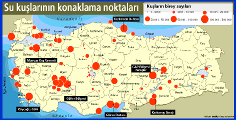 Rüzgar enerjisi santrallerinin çevreye, özellikle kuşlara, olan etkileri üzerine pek çok ülkede araştırmalar gerçekleştirilmiştir.