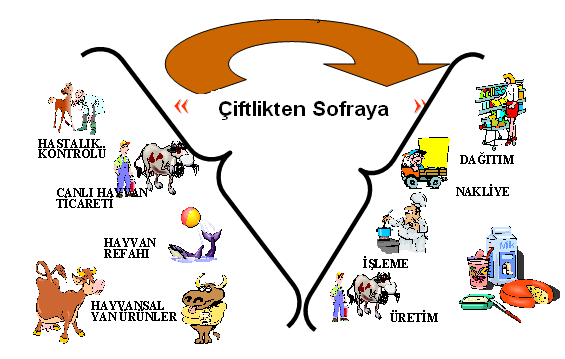 AB de G da Güvenli i ile lgili Yasal Düzenlemeler ve HACCP Tarladan Çatala G da Güvenli i Anlay fl nda Önemli Noktalar zlenebilirlik: Bir g dan n veya yemin, g da üreten hayvan n veya tüketilecek bir