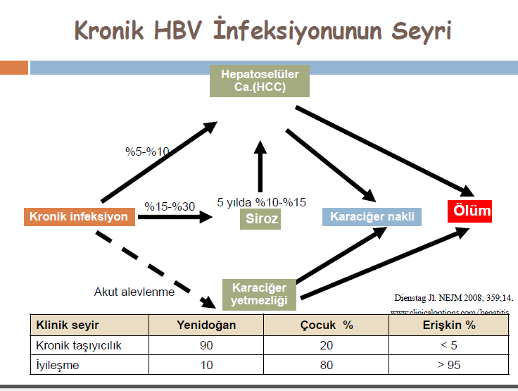 E. HBsAg Negatif Faz Nadiren HBsAg kaybından sonraki dönemde serumda düģük düzeylerde HBV DNA (<10 3 ) ve karaciğer dokusunda HBV- DNA pozitifliği kalabilir.