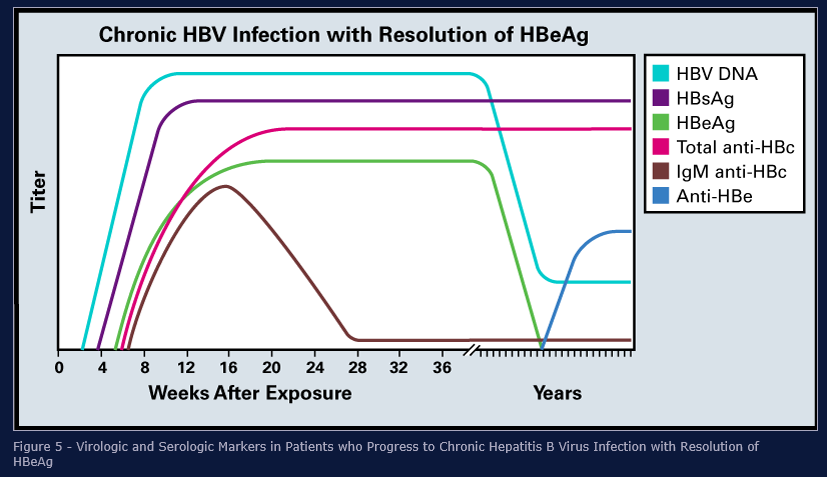 ġekil 11: HBV kronik enfeksiyonunda serolojik seyir.