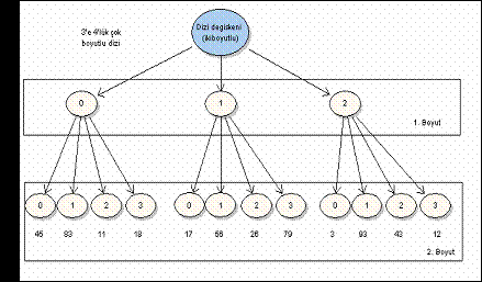 Java ve Yazılım Tasarımı ; Bölüm- 3 Şekil-3.9. Aynı elemana sahip çok boyutlu dizi Dizilere bağlı diğer dizilerin aynı boyutta olma zorunluluğu yoktur. (yorum ekle) Örnek-3.36: CokBoyutluDiziler.