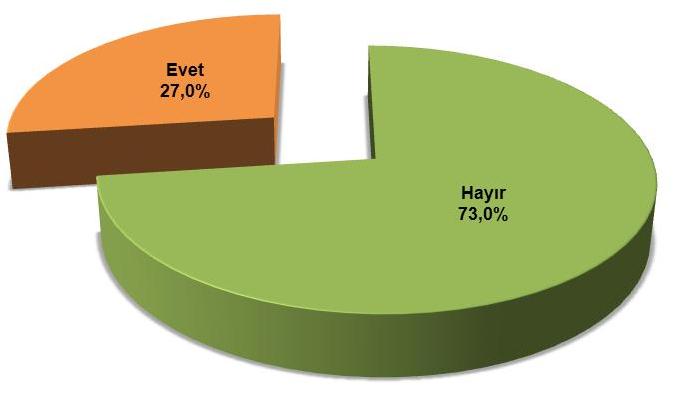 Herhangi bir kiģiye Türk parası ya da döviz borcunuz var mı?