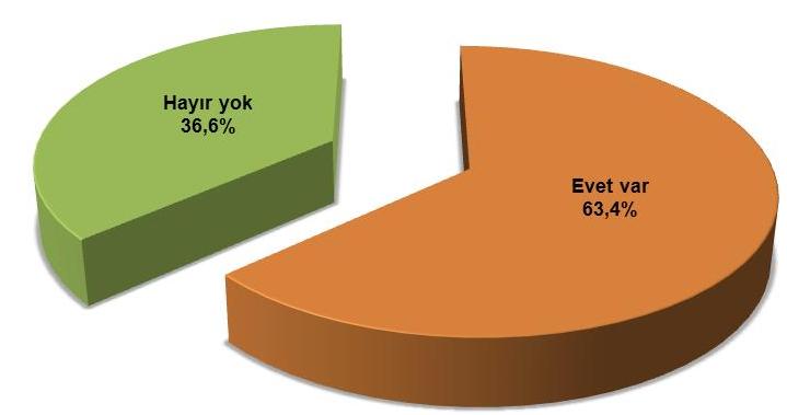 Çocuklarınızın geleceğine dair bir endiģeniz var mı?