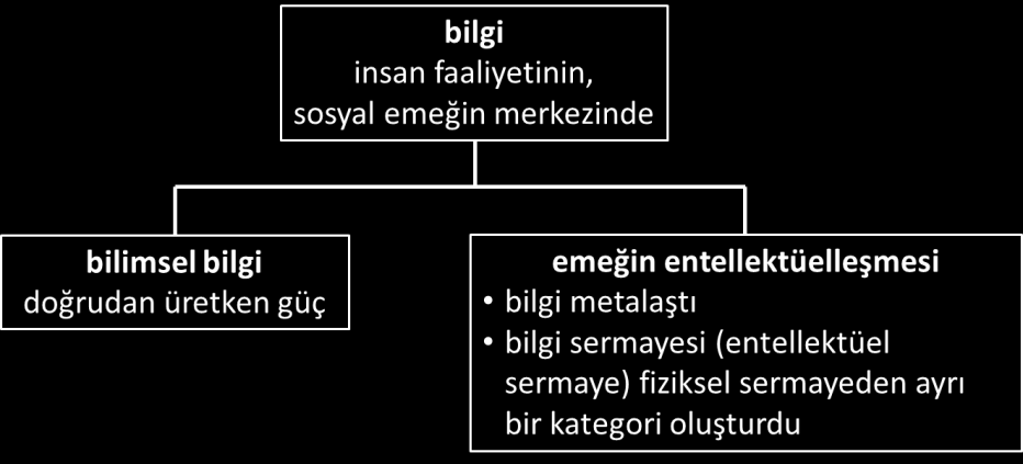 ii. 1980 lerden itibaren bilim artık ticari değeri öne çıkartılan bir üretim sistemidir, özel mal muamelesi görür.