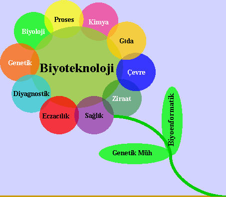 Özellikle gelişmiş ülkelerde gerçekleştirilen bilimsel ilerlemeler tarımın evrimini hızlandırmaktadır.