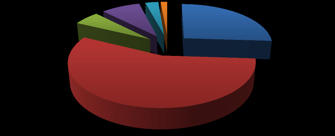 Diğer Ġlçeler Toplamı 18% Marmaris 26% Bodrum 56% Grafik 7 Muğla Ġlindeki