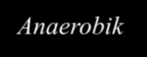 Anaerobik Arıtma Anaerobik arıtma, mikroorganizmaların organik atıkları, serbest oksijensiz bir ortamda, metan, karbondioksit, hücresel ve diğer organik maddelere çevirdiği biyolojik bir işlemdir.