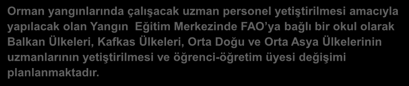 bir okul olarak Balkan Ülkeleri, Kafkas Ülkeleri, Orta Doğu ve Orta Asya