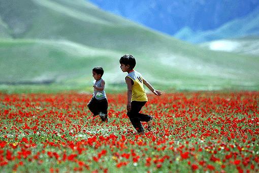 Bu kuram şu şekilde ifade edilmektedir: Sarf edilen