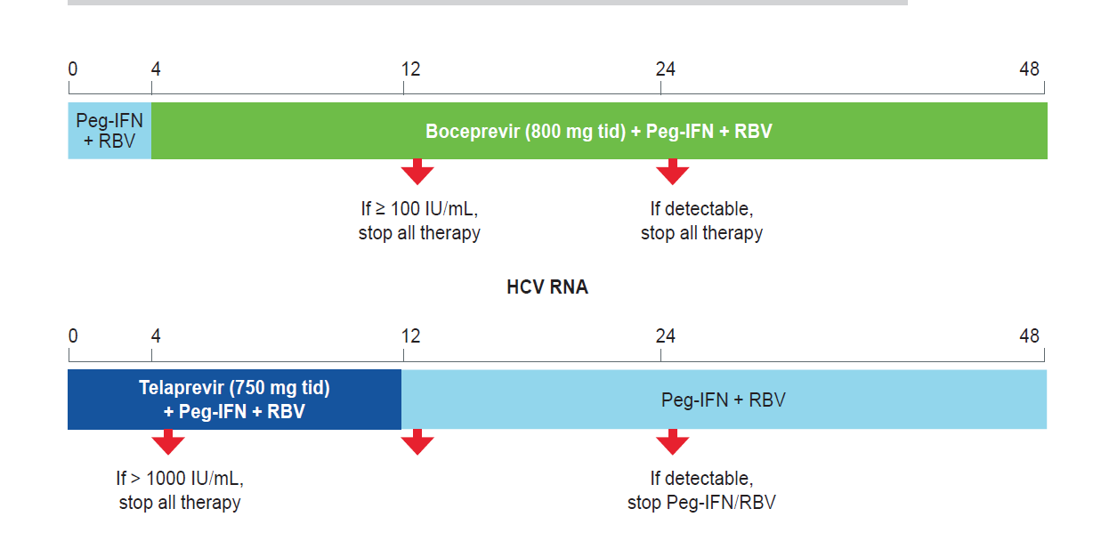 HBV/HIV