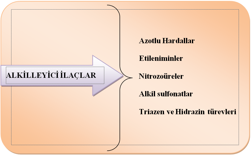 Alkilleyici ilaçlar beģ guruba ayrılır. Bunlar aģağıda verilmiģtir. Azotlu Hardallar ġema 2.