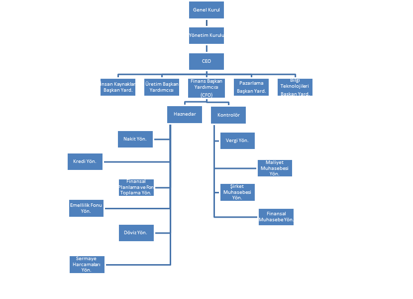 Şekil 1. İşletmede Finans Fonksiyonunun Organizasyonu Kaynak: Gitman ve Zutter ( 2012:8) Yukarıdaki şekilde ise bir işletmede finans fonksiyonunun organizasyonuna dair bir örnek yer almaktadır. 1.7.