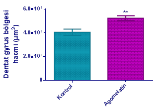 Şekil 3. Agomelatin (40 mg/kg) uygulamasının, MST testinde platformu bulma süreleri üzerine etkisi. 2. gün kontrol grubuna göre anlamlı farklılık **p<0.01; 3.