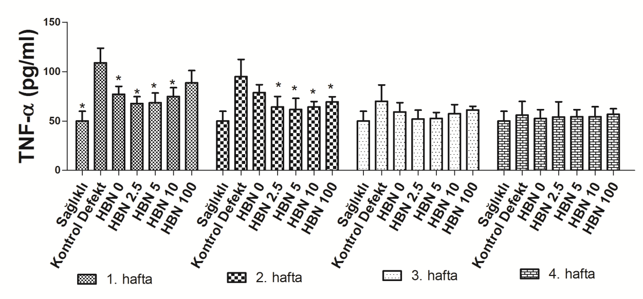 Sitokin Sonuçları İyileşmenin erken dönemi olan ilk iki haftada defekt kontrol grubu ile karşılaştırıldığında genel olarak ölçülen bütün sitokin düzeylerine bakıldığında 2,5 ve 5 HBN kompoziti