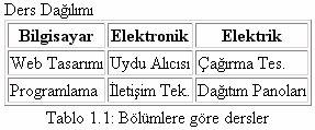 <td>çağırma Tes.</td> </tr> <tr> <td>programlama</td> <td>iletişim Tek.