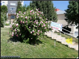 YÜKSEKOKULUMUZU TANITIYORUZ LOGOMUZ KÜP KAĞITLARIMIZ SANAL TUR TANITIM KİTABIMIZ Cilt 1,