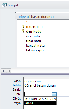 AÇIKLAMA : [tablo adı]![alan adı] Access veri tabanında kullanılan bir genel yazım şeklidir. Seçtiğiniz alanı ve o alanın hangi tabloya ait olduğunu bildirir.
