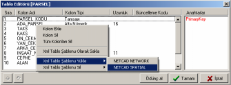 4. NETCAD SPATIAL OBJELERİ OLUŞTURMA (NCZ) NETCAD Spatial objeleri NETCAD in objeleri veritabanõnda tutan yapõsõdõr.