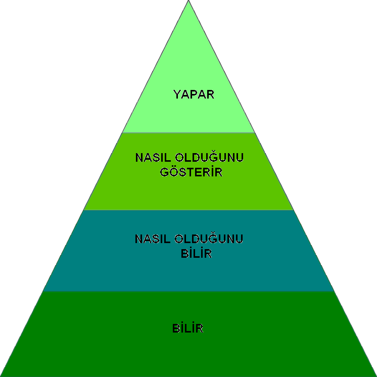 düzeyleri açısından büyük farklıklar gösterdiklerinin farkına varırlar.