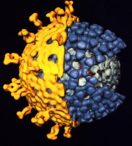 Bakteriyel gastroenteritlerden korunmada önemli olan toplumsal ve kişisel hijyen kuralları, rotavirus enfeksiyonlarının önlenmesinde etkili değildir.