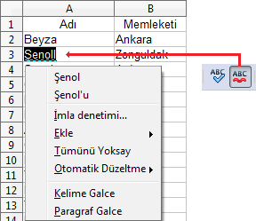 İmla Denetimi ve Dilbilgisi Otomatik imla denetimi aktif ise tablo verilerinizi girerken yanlış yazdığımız kelimelerin altının kırmızı çizgi ile işaretlendiğini görürüz.