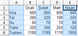 Bir sütun ya da satırın veri içerip içermediğini Ctrl + yön tuşları ile kontrol edebilirsiniz. Çalışma sayfasında bir grup hücre üzerinde işlem yapmak için hücre grubunu seçmelisiniz.