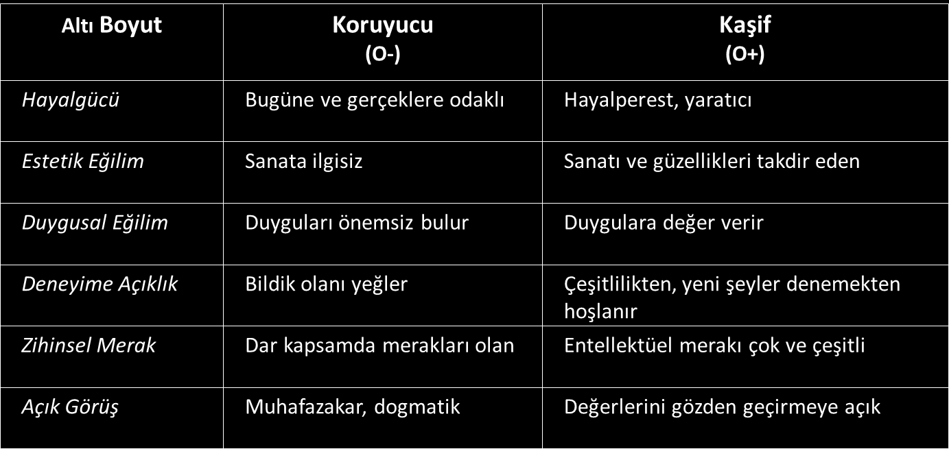 3. AÇIKLIK Açıklık özelliği, bilinmeyene ve yeni deneyimlere açık ve hoşgörülü olma, öngörülü bir şekilde peşinden gitme, yeniliklere ilgi duyma ve keşfetmek arzusunu kapsar.