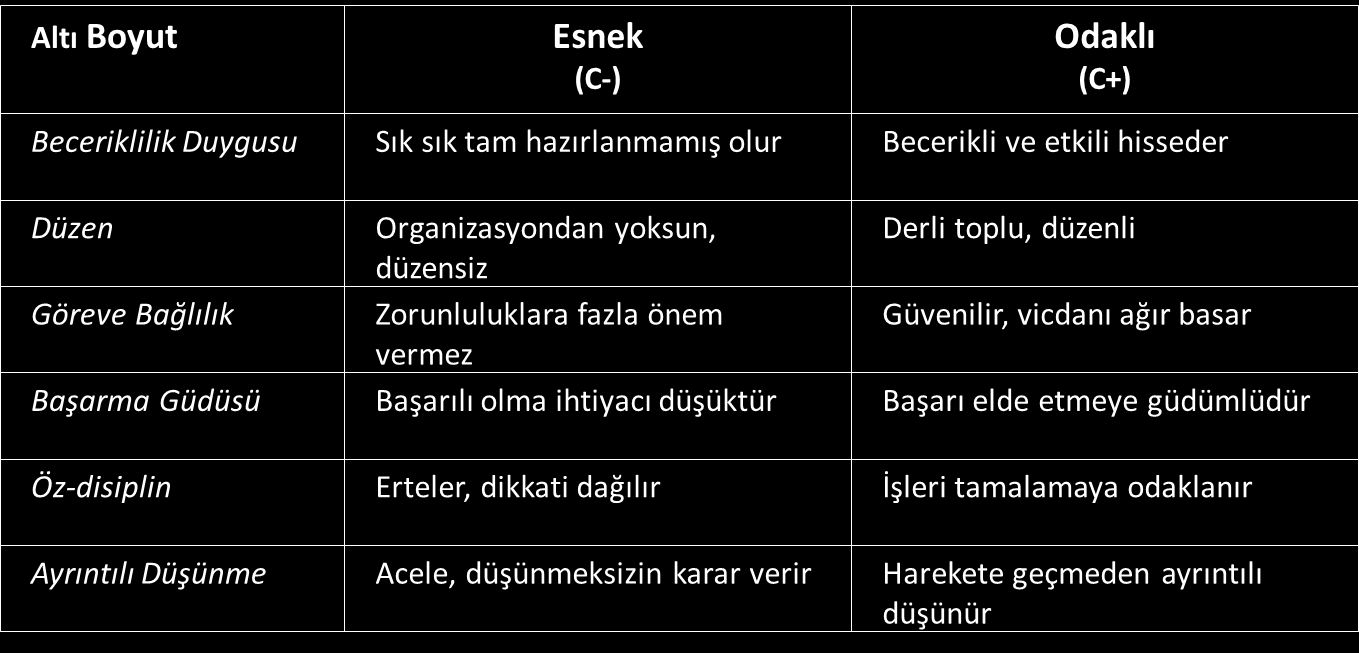 Tablo-13 Sorumluluk Kişilik Özelliğinin Alt Boyutları 5.1. Beceriklilik Duygusu Bu alt faktör, kişinin kendini yeterli, yetkin, etkin ve yetenekli hissetmesini kapsamaktadır.