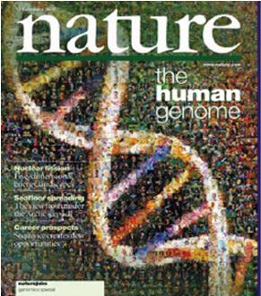 Şubat 2001 de International ĠNSAN Human GENOM Genome PROJESĠ Sequencing Corsortium (IHGSC) ve Celera Genomics Şirketi nin her birinin ayrı ayrı yayınladığı raporlar insan genomunun ilk ayrıntılı