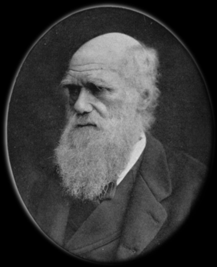 Charles Darwin, doğal seçilim yoluyla evrim teorisini açıklamaya çalıştı.