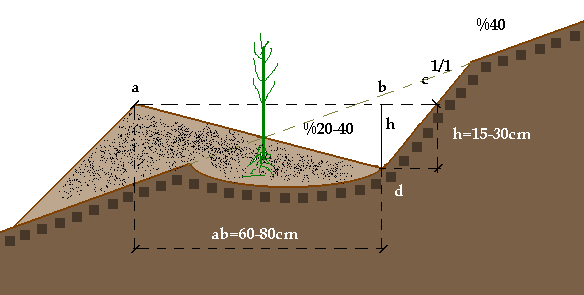 .2.1. 1.Toprak ĠĢleme Havazada toprak ve topoğrafik şartların uygun olduğu yerlerde gradoni tipi teraslar halinde toprak işleme yapılacaktır.