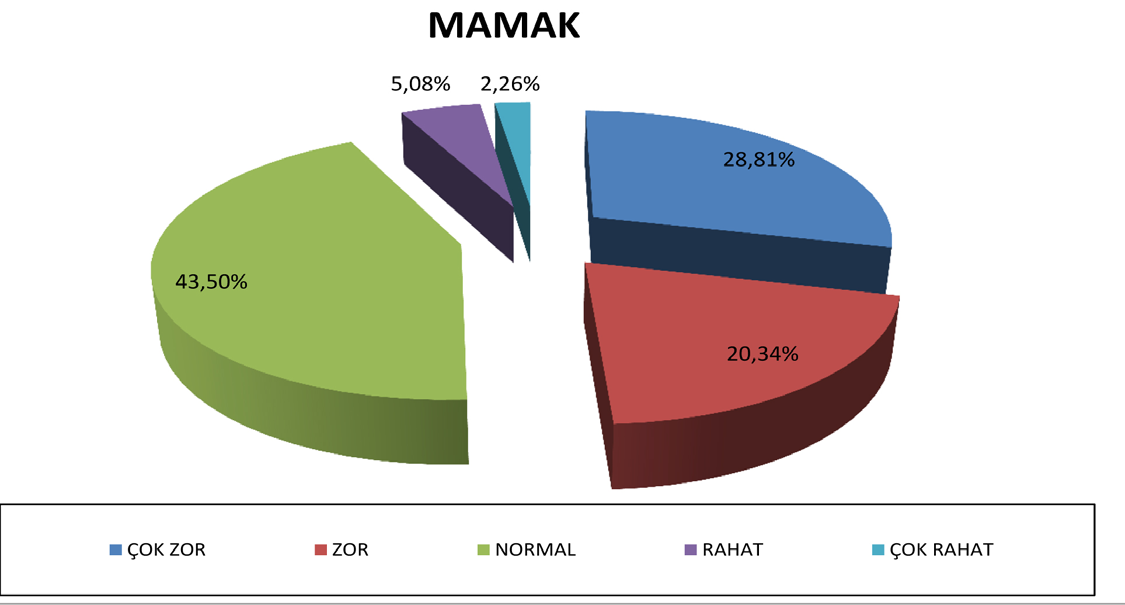 ANKARA NIN KENTSEL YOKSULLUK HARİTASI Tablo-44: Mamak İlçesi Geçinme Düzeyi 12.