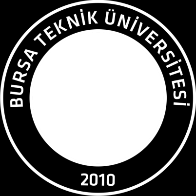 2013 MALİ YILI BURSA TEKNİK ÜNİVERSİTESİ