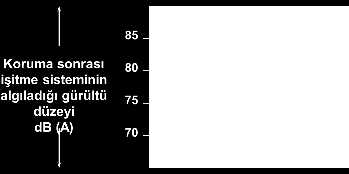 3. Gürültünün Sebep Olduğu İşitme Kaybı Tipleri İletim Tipi İşitme Kaybı İletim tipi işitme kaybı, kulak zarında ve orta kulak kemiklerinde meydana gelen kayıplardır.