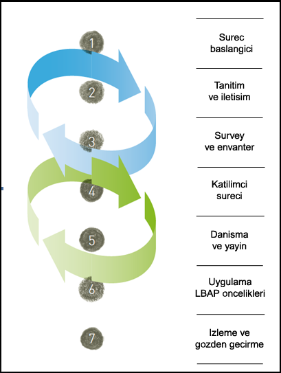 Figure 1: Action planning process Ecosystems provide a unifying theme for biodiversity action planning.